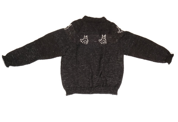 Pullover Bio the Cat