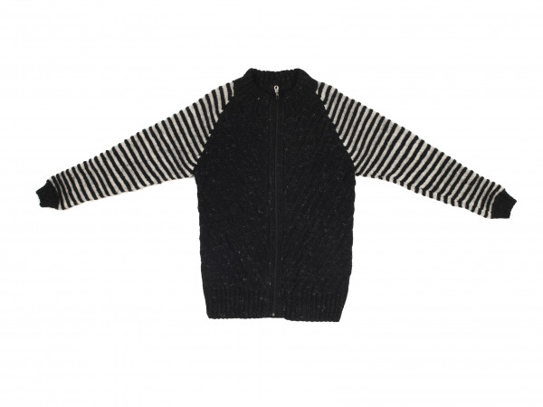 Jacket Silver Ray